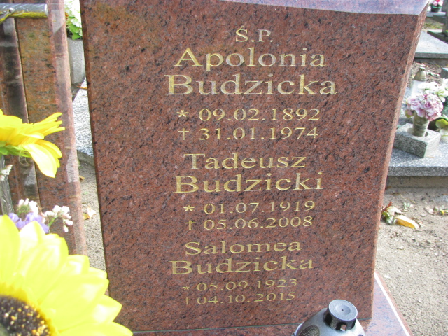Apolonia BUDZICKA  1892 Tczew - Grobonet - Wyszukiwarka osób pochowanych